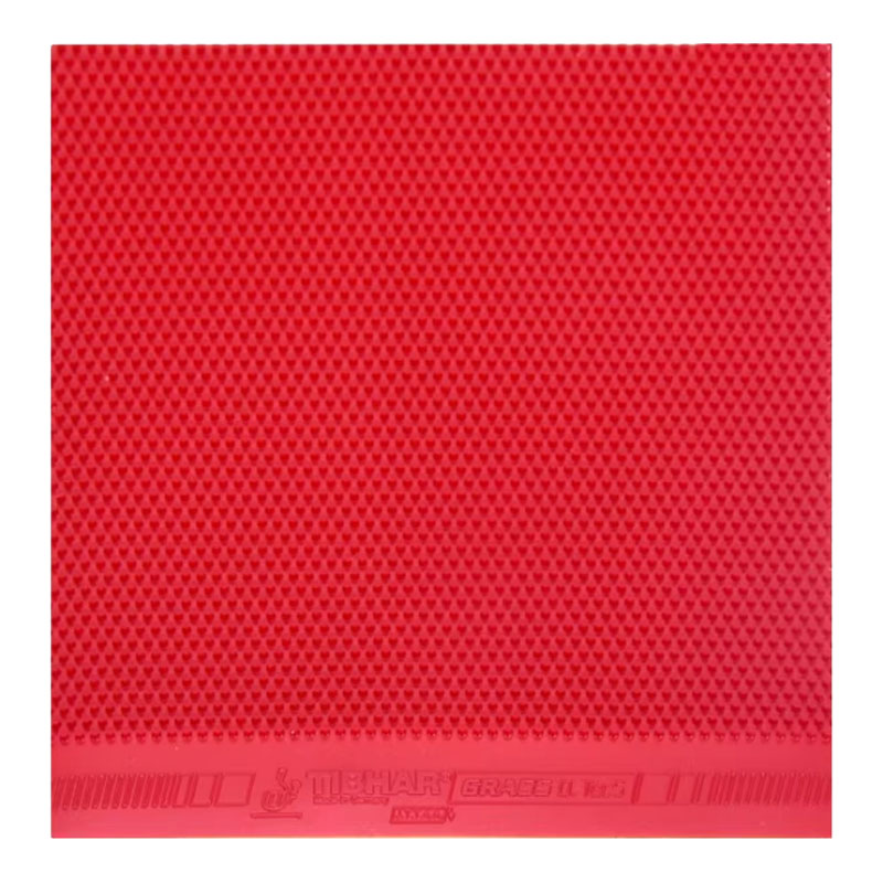 TIBHAR Grass D.TecS Table Tenn - Table Tennis Grip review and price