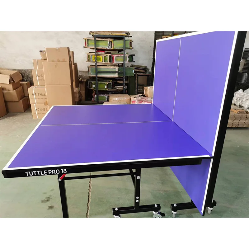 2026 Professional Indoor Remov - Table Tennis Folding Table review and price
