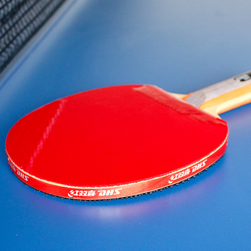 DHS Self-adhesive Table Tennis - Table Tennis Barrier review and price
