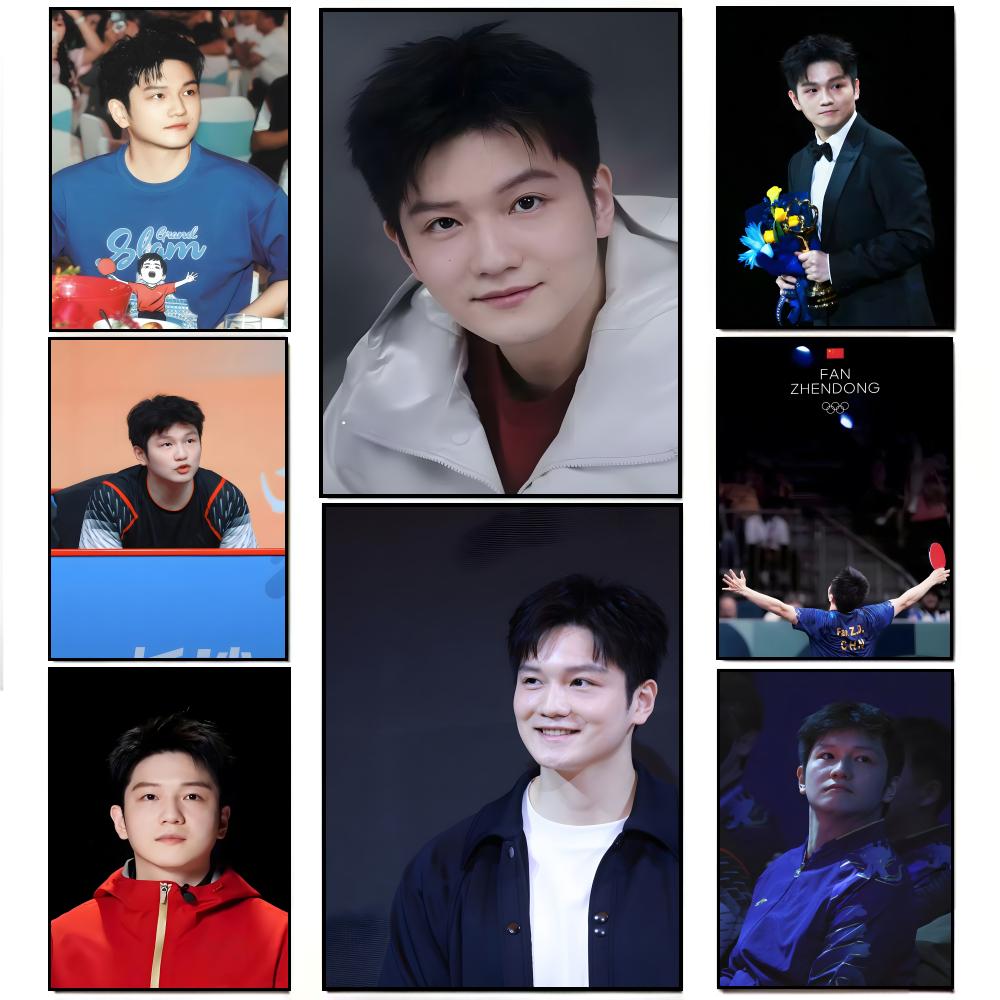 Dynamic Athletic F-Fan Zhendon - Table Tennis Zhendong review and price